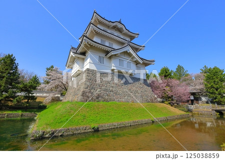 埼玉県 忍城 ~満開の桜に彩られる天守~ 埼玉県 忍城 ~満開の桜に彩られる天守~ 125038859