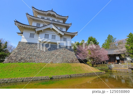 埼玉県 忍城 ~満開の桜に彩られる天守~ 埼玉県 忍城 ~満開の桜に彩られる天守~ 125038860