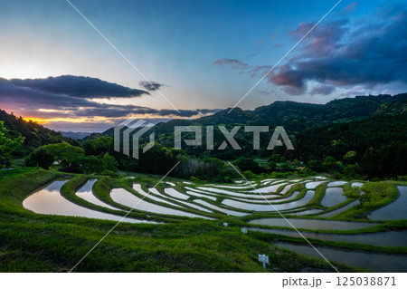 夜明けの棚田・千葉県大山千枚田 夜明けの棚田・千葉県大山千枚田 125038871