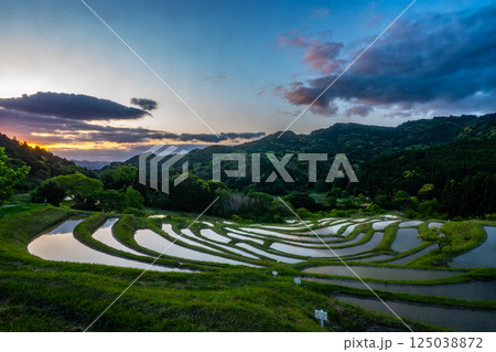 夜明けの棚田・千葉県大山千枚田 夜明けの棚田・千葉県大山千枚田 125038872