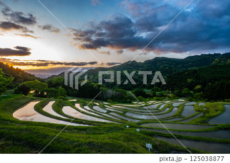 夜明けの棚田・千葉県大山千枚田 125038877