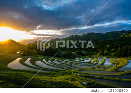 夜明けの棚田・千葉県大山千枚田 125038890