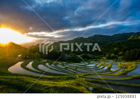 夜明けの棚田・千葉県大山千枚田 夜明けの棚田・千葉県大山千枚田 125038891