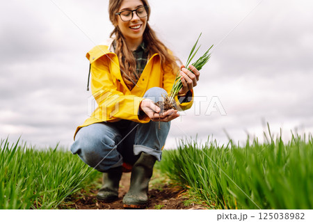 Farmer woman holding green wheat sprouts, checking growth. Scientist is checking the plant. 125038982