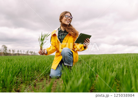 A young farmer woman in a green field, intently using a tablet. The concept of technology, gardening 125038984