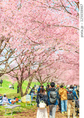 3月の北浅羽桜堤公園 3月の北浅羽桜堤公園 125038987