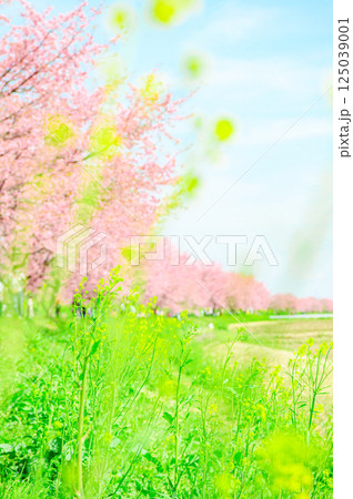 3月の北浅羽桜堤公園 3月の北浅羽桜堤公園 125039001