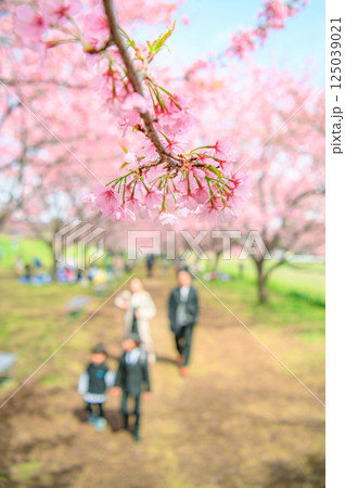 3月の北浅羽桜堤公園 3月の北浅羽桜堤公園 125039021