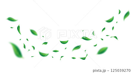 Vector foliage floating ornament. Vegan, eco, organic design element. Leaf falling. Cosmetic pattern border. Fresh tea background. Beauty natural product. Green flying leaf dancing 125039270