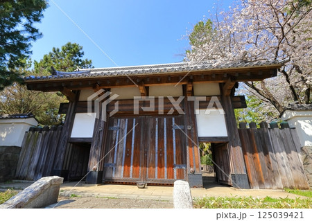忍城の模擬御三階櫓（埼玉県行田市） 125039421