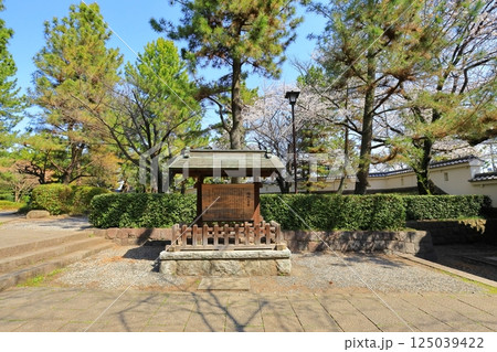 忍城の模擬御三階櫓(埼玉県行田市) 忍城の模擬御三階櫓(埼玉県行田市) 125039422