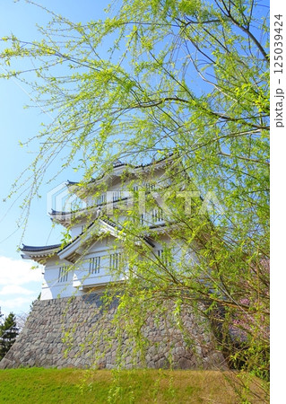 忍城の模擬御三階櫓(埼玉県行田市) 忍城の模擬御三階櫓(埼玉県行田市) 125039424