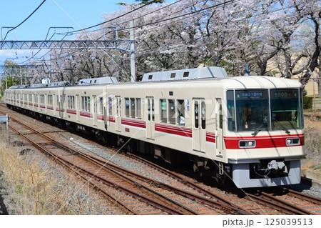 京成松戸線 8800形登場時色 リバイバルカラーと桜 京成松戸線 8800形登場時色 リバイバルカラーと桜 125039513