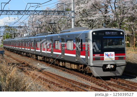 HELLOW京成松戸線ヘッドマークシール付　N800形リバイバルカラーと桜 125039527