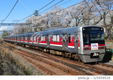 HELLOW京成松戸線ヘッドマークシール付　N800形リバイバルカラーと桜 125039528