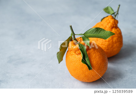 Two fresh dekopon oranges with green leaves on light background. 125039589