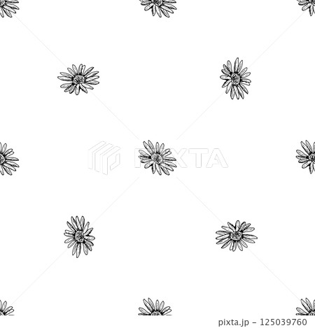 Seamless pattern with hand drawn wildflower heads in black and white. Ideal for fabric, packaging, tea, natural cosmetics, wedding design, herbal products, or eco-friendly branding. 125039760