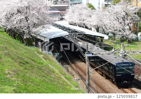 相鉄10000系横浜ネイビーブルーと桜 125039817