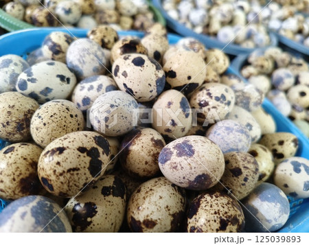 collection of quail eggs that have just been harvested 125039893