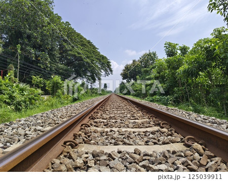 Railway track for train, A railroad with the nature along the way Railway track for train, A railroad with the nature along the way 125039911