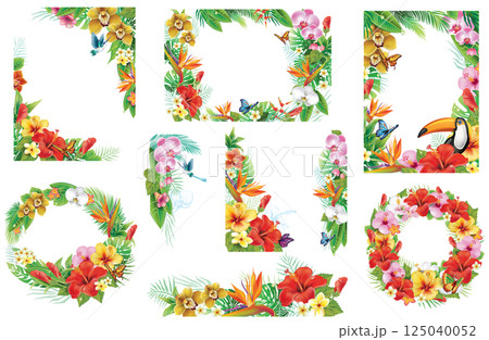 Tropical Floral Frames with Hummingbirds and Butterflies 125040052
