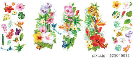 Tropical Flowers and Leaves Set 125040053