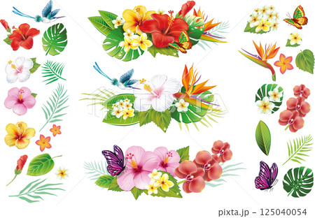 Tropical Flowers and Leaves Set 125040054