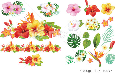 Tropical Hibiscus Flower Composition Tropical Hibiscus Flower Composition 125040057