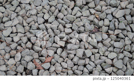 Close up view of small gray gravel stones scattered on the ground with a few dried leaves and pine needles, creating a textured and natural background in an outdoor setting. 125040361