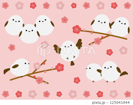 シマエナガと梅の花のイラスト素材セット 125041044