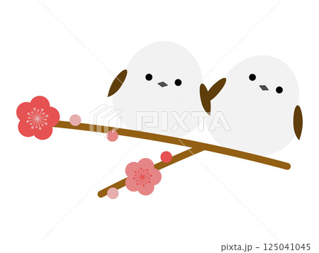 シマエナガと梅の花 125041045