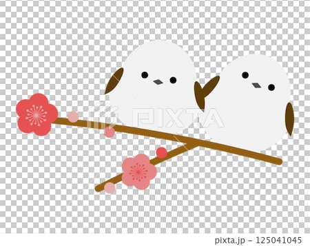 シマエナガと梅の花 125041045