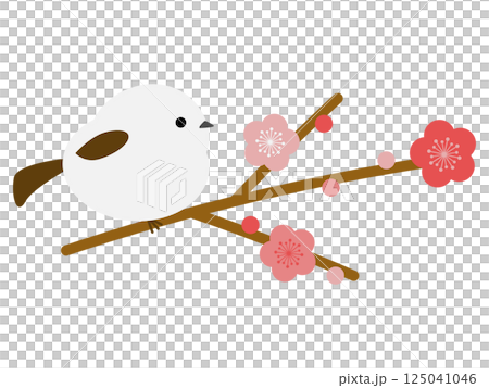 Shimaenaga and plum blossoms Shimaenaga and plum blossoms 125041046