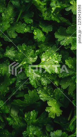 Vibrant leafy greens with citrus droplets showcasing rich detail and seasonal freshness 125041698