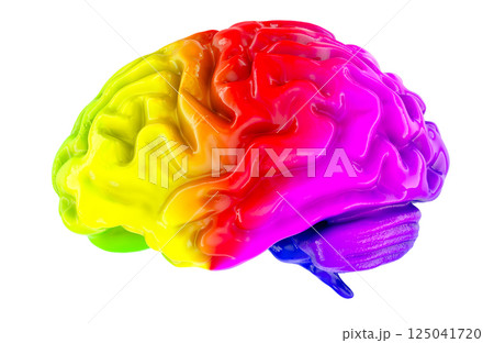 Colourful Human Brain, 3D rendering 125041720