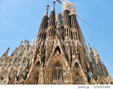 Basilica de la Sagrada Familia daylight Basilica de la Sagrada Familia daylight 125041940