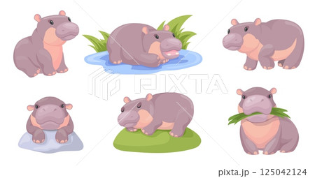 Cartoon baby hippo. Cute pygmy hippopotamus in different poses, standing walking hippos africa savanna zoo kids animals childish hippopotamuses face, set neat vector illustration Cartoon baby hippo. Cute pygmy hippopotamus in different poses, standing walking hippos africa savanna zoo kids animals childish hippopotamuses face, set neat vector illustration 125042124