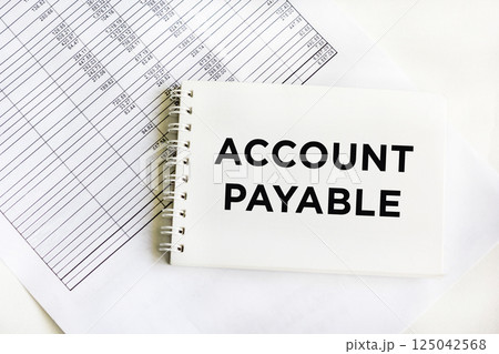 ACCOUNT PAYABLE text on notebook with chart 125042568