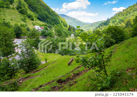 rural landscape of carpathian mountains in summer. afternoon weather. countryside scenery with steep forested slopes. road winding through village among green rolling hills 125043174