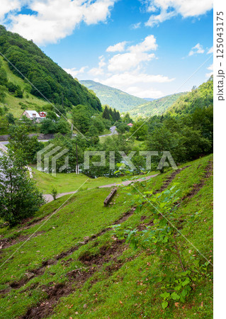 rural landscape of carpathian mountains in summer. scenic vertical view. countryside scenery with steep forested slopes. road winding through village among green rolling hills 125043175