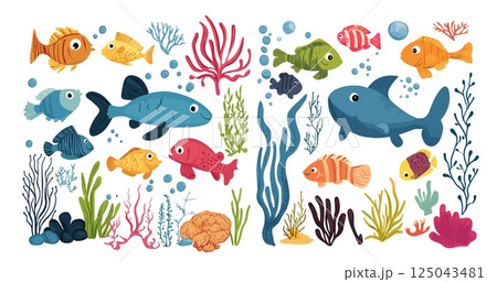 Cartoon underwater animals. Algae corals fish ocean sea world reef tropical aquatic species marine faun, isolated vector illustrations Cartoon underwater animals. Algae corals fish ocean sea world reef tropical aquatic species marine faun, isolated vector illustrations 125043481