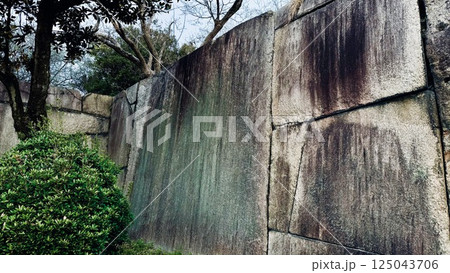 大阪城桜門枡形の巨石  125043706