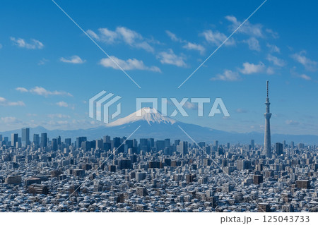 富士山と東京スカイツリー 雪景色 富士山と東京スカイツリー 雪景色 125043733