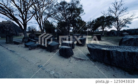 刻印石広場の残念石 125043819