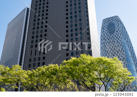 西新宿の新緑と高層ビルの風景 西新宿の新緑と高層ビルの風景 125043891