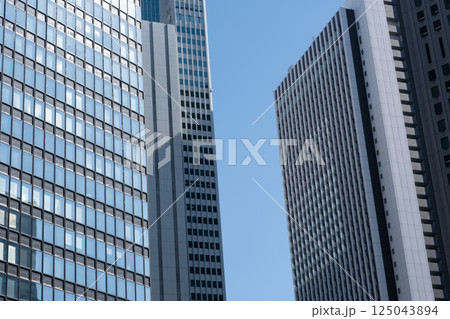 西新宿の高層ビルのある都市風景 西新宿の高層ビルのある都市風景 125043894