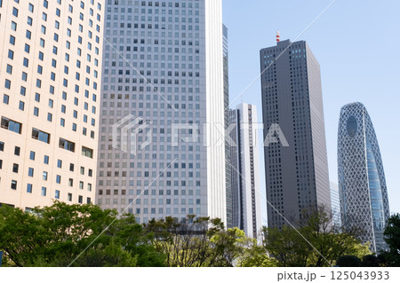 西新宿の新緑と高層ビル街の風景 西新宿の新緑と高層ビル街の風景 125043933