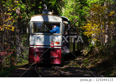秋の長野県上松町　紅葉の赤沢自然休養林　赤沢森林鉄道 125044113