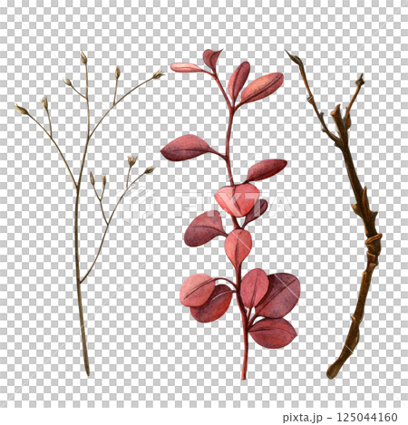 Autumn branches. Watercolor hand-painted set of different types of twigs. Perfect for botanical designs and natural themes, floral fabric, fall card, seasonal postcard, harvest, thanksgiving day decor Autumn branches. Watercolor hand-painted set of different types of twigs. Perfect for botanical designs and natural themes, floral fabric, fall card, seasonal postcard, harvest, thanksgiving day decor 125044160