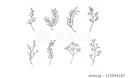 A hand-sketched botanical element with light, airy strokes and natural flow. 125044287